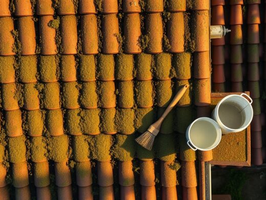 Démousser son toit naturellement : méthodes écologiques efficaces